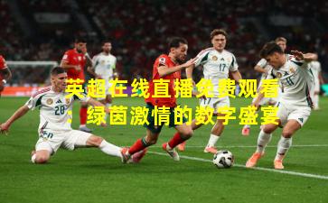 英超在线直播免费观看：绿茵激情的数字盛宴