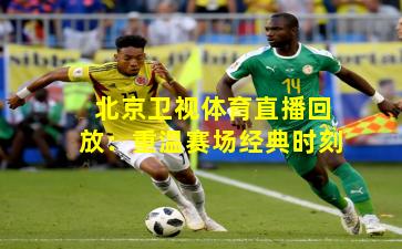 北京卫视体育直播回放:重温赛场经典时刻