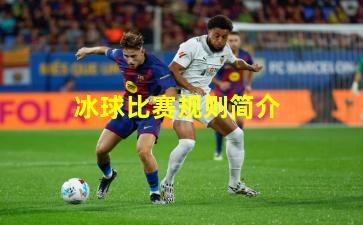 冰球比赛规则简介