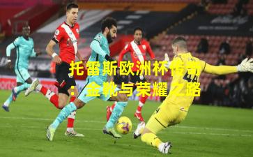 托雷斯欧洲杯传奇:金靴与荣耀之路