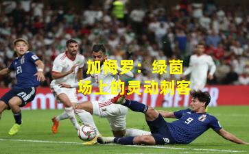 加梅罗:绿茵场上的灵动刺客