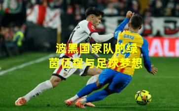 波黑国家队的绿茵征程与足球梦想